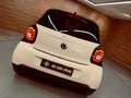 smart forFour 0.9 66kW (90CV) S/S PASSION Blanco - thumbnail 48
