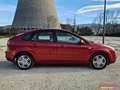 Ford Focus 1.6 TDCi DPF GHIA 110 cv Grau - thumbnail 7