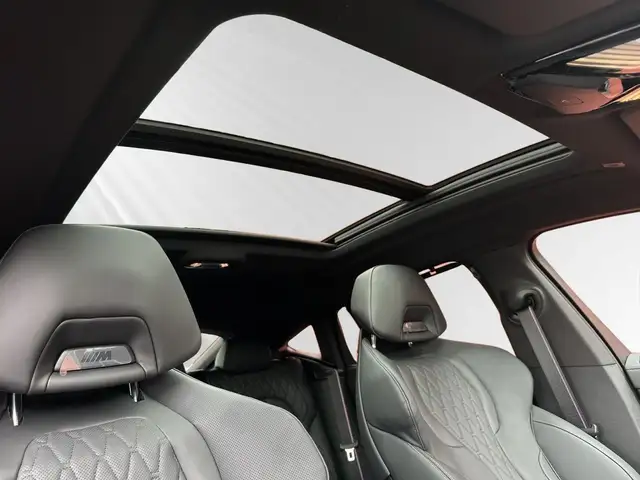 BMW X6 view 11