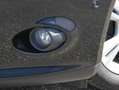 Ford Focus 1.0 EB SYNC Edition Navi Winter AT-Motor Negro - thumbnail 16