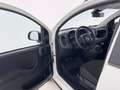 Fiat Panda Panda Cross 1.0 FireFly S&S Hybrid Blanc - thumbnail 16