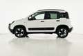 Fiat Panda Panda Cross 1.0 FireFly S&S Hybrid Blanc - thumbnail 12
