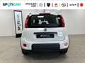Fiat Panda 1.0 CITY LIFE HYBRID 70 Blanc - thumbnail 5