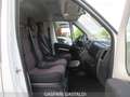 Fiat Ducato Ducato 33 2.3 MJT 130CV  Panorama 9 posti Wit - thumbnail 11