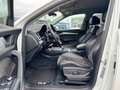 Audi Q5 2.0 TDI quattro sport Blanco - thumbnail 11