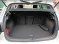 Volkswagen Golf 1.2 CUP Climate,Park syst, Stoelverw.,Cruise. Weiß - thumbnail 15