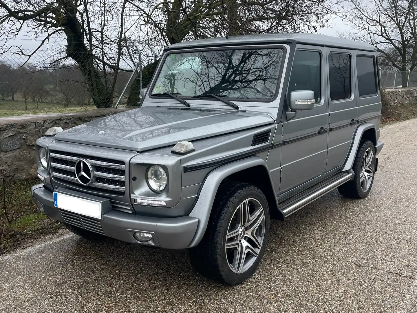 Mercedes-Benz G 350 350BlueTec Largo Aut. Gris - 1