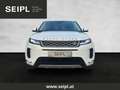 Land Rover Range Rover Evoque D165 AWD Aut. Weiß - thumbnail 2