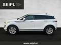 Land Rover Range Rover Evoque D165 AWD Aut. Weiß - thumbnail 3