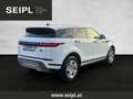 Land Rover Range Rover Evoque D165 AWD Aut. Weiß - thumbnail 4