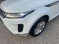 Land Rover Range Rover Evoque D165 AWD Aut. Weiß - thumbnail 6