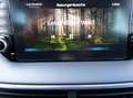 Hyundai TUCSON N Line Mild-Hybrid 4WD+Auto+LED+ACC+Navi+AHK+Leder Grau - thumbnail 40