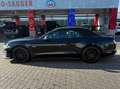 Ford Mustang Mustang Convertible 5.0 Ti-VCT V8 Aut. GT Schwarz - thumbnail 4