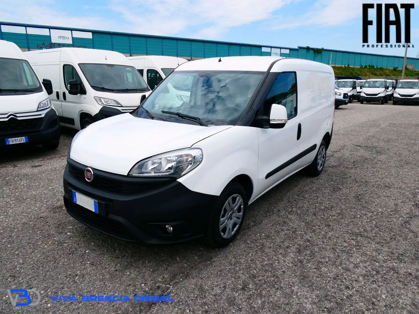 Fiat Doblo Cargo Bianco - 1