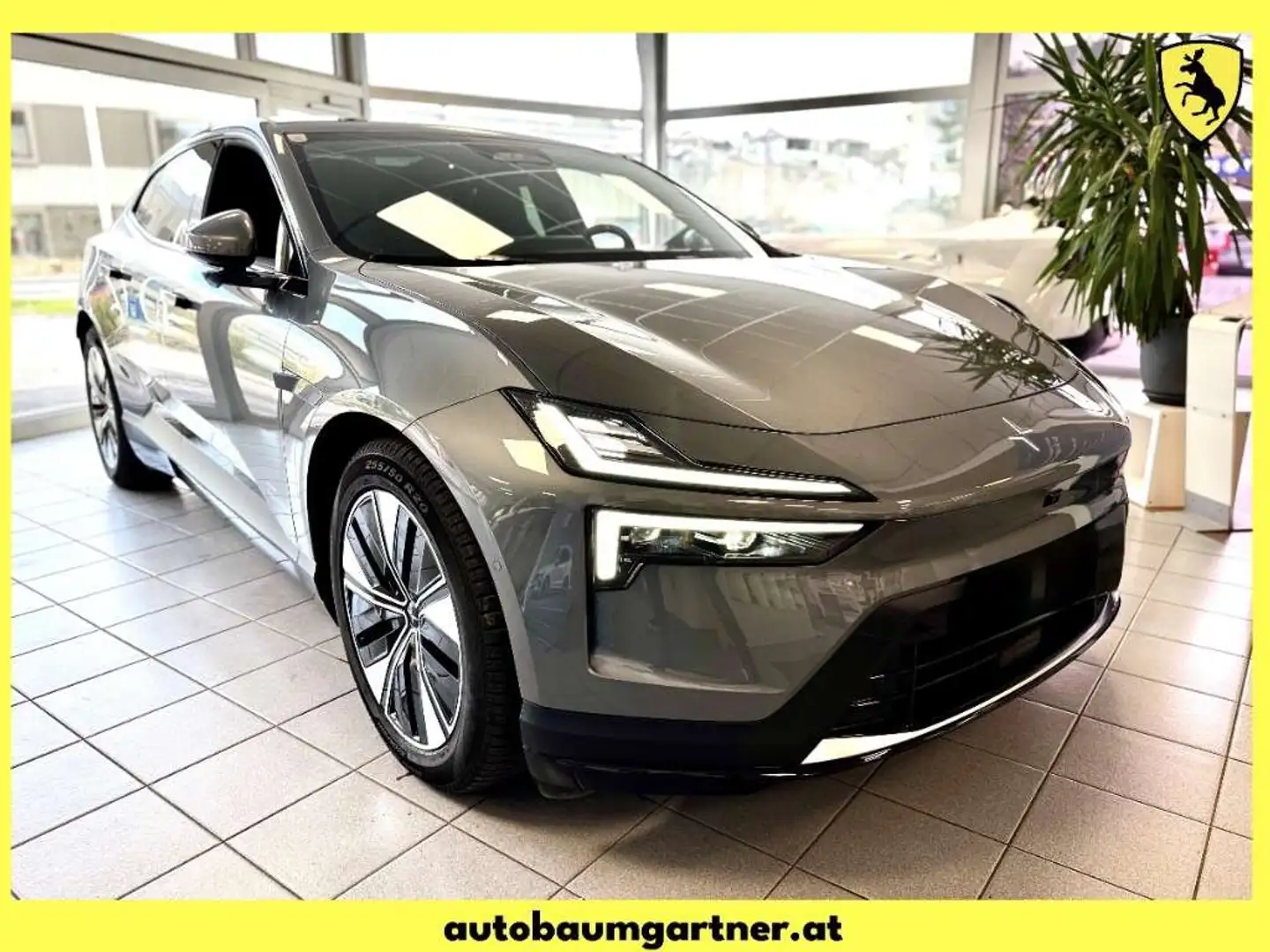 Polestar 4 Long Range 100kWh Single Motor Grau - 1