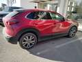 Mazda CX-30 CX-30 2.0 m-hybrid Exclusive awd 150cv 6mt GL509FE Rosso - thumbnail 7