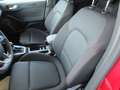 Ford Focus Turnier 1.0 EB MHEV ST-LINE/RFK/Styling Paket Rot - thumbnail 7