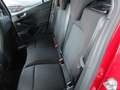 Ford Focus Turnier 1.0 EB MHEV ST-LINE/RFK/Styling Paket Rot - thumbnail 6