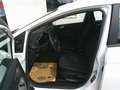 Ford Fiesta Trend 1,1 Start/Stop Weiß - thumbnail 13