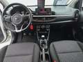 Kia Picanto 1.0 Edition Dream Team Facelift LM SHZ Weiß - thumbnail 9