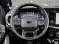 Ford F 150 2025 Raptor € 89700 FACELIFT! +TWIN MOONROOF Grün - thumbnail 16
