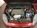 Fiat Bravo Bravo 1,6 Multijet 105 Easy DPF Easy Rot - thumbnail 8