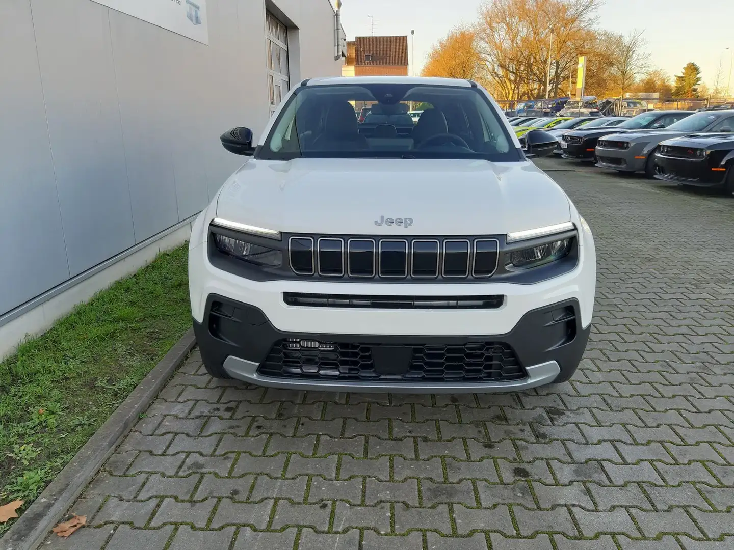 Jeep Avenger Altitude 1.2 e-Hybrid/Allwetterreifen Weiß - 2