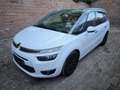 Citroen Grand C4 Picasso Exclusive 2.0 Blue-HDI 7Sitzer Weiß - thumbnail 1