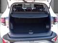 Kia Sportage Vision 1.6T-GDI Mild-Hybrid Navi Bi-LED Digitales Blanc - thumbnail 5