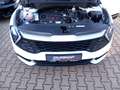 Kia Sportage Vision 1.6T-GDI Mild-Hybrid Navi Bi-LED Digitales Blanc - thumbnail 14