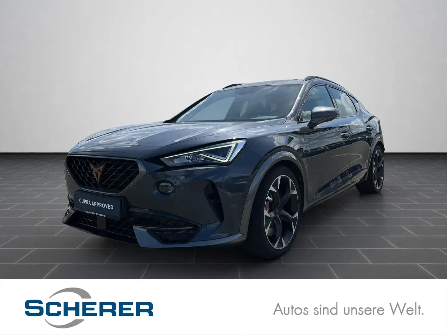 CUPRA Formentor VZ ABT 4Drive 370PS Beats Brembo elek. Gris - 1