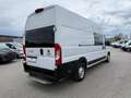 Fiat Ducato 35 Maxi 160 Multijet L4H3 *Netto €17.000,-* Weiß - thumbnail 8