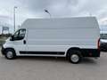 Fiat Ducato 35 Maxi 160 Multijet L4H3 *Netto €17.000,-* Weiß - thumbnail 14