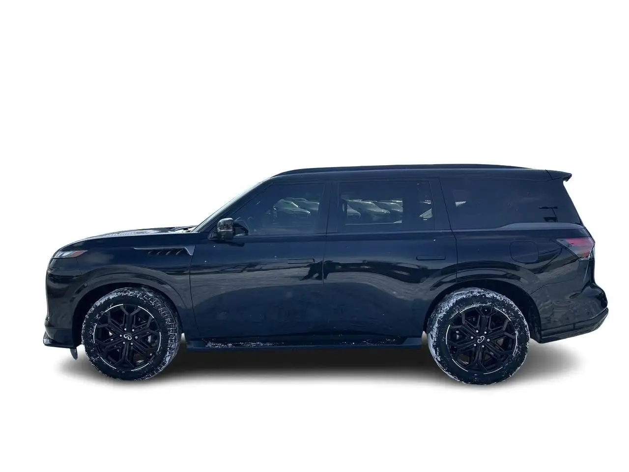 Infiniti QX80 снимка Infiniti QX80