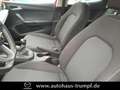 SEAT Ibiza 1.0 TSI Style LED / FullLink / PDC Rot - thumbnail 15