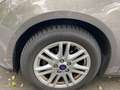 Ford Focus Focus Turnier 1.6 Ti-VCT Aut. SYNC Edition Grau - thumbnail 9