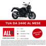 Kawasaki Z900RS Black Ball Edition - A2 Nero - thumbnail 2