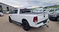 Dodge RAM 1500 4X4 Quad-Cab Sport Weiß - thumbnail 7