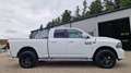Dodge RAM 1500 4X4 Quad-Cab Sport Weiß - thumbnail 6