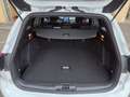 Ford Focus Traveller 1,0 EcoBoost ST-Line Weiß - thumbnail 8