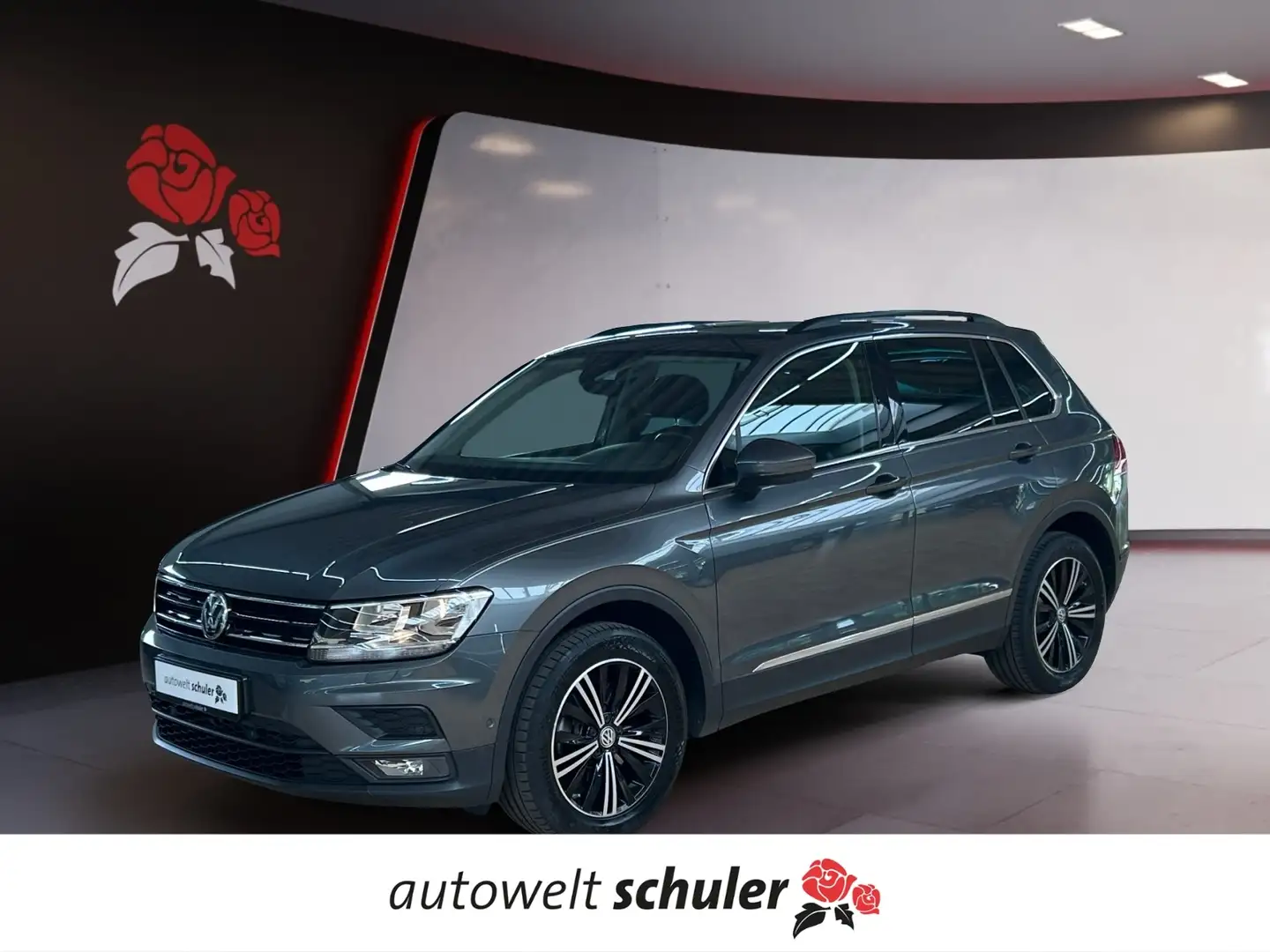 Volkswagen Tiguan 2.0 TSI DSG 4Motion AHK Pano Sitzheizung Gris - 1