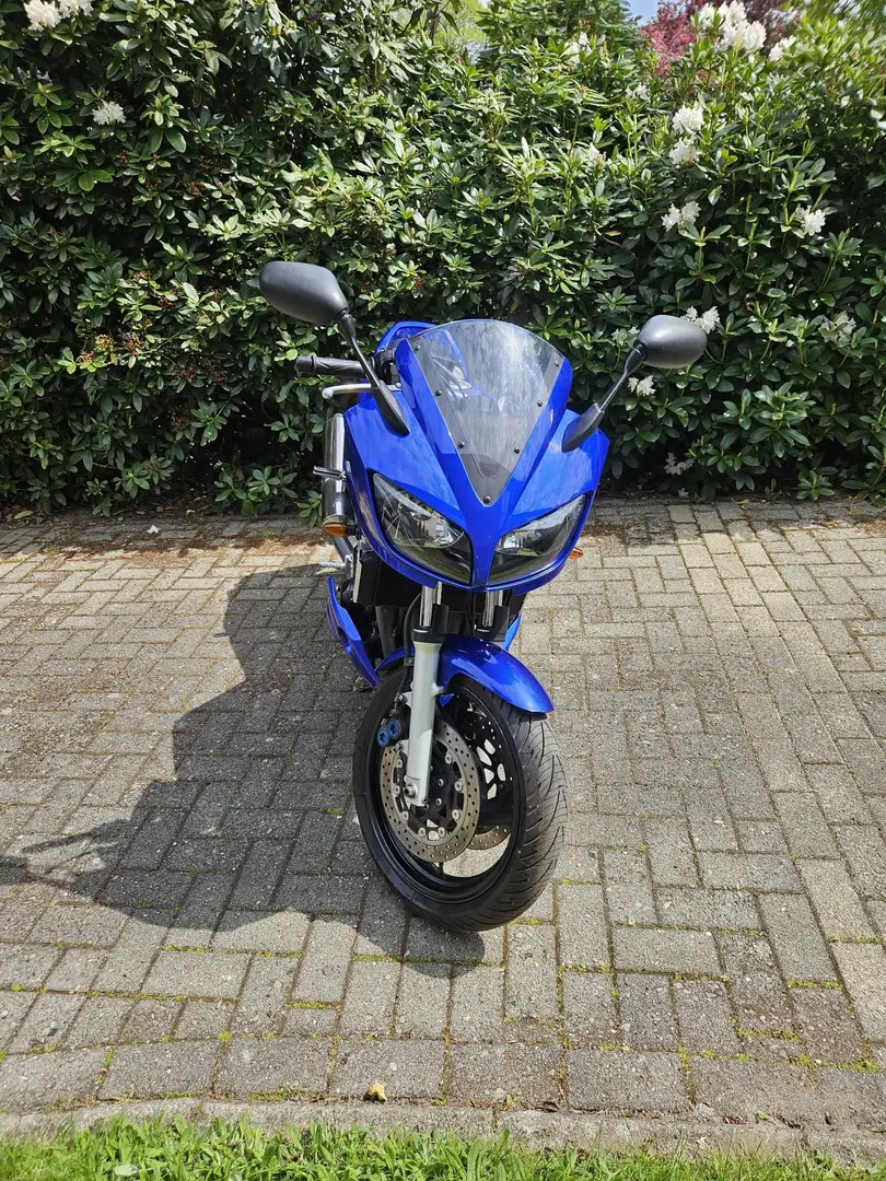 Yamaha FZS 600 Tieferlegung Blau - 1