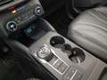Ford Kuga 2.5 full hybrid Vignale awd 190cv e-shifter Bianco - thumbnail 21