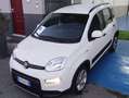 Fiat Panda Panda III 2021 1.2 easypower Gpl s Blanco - thumbnail 1