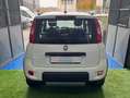 Fiat Panda Panda III 2021 1.2 easypower Gpl s Blanc - thumbnail 3