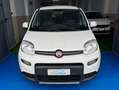 Fiat Panda Panda III 2021 1.2 easypower Gpl s Wit - thumbnail 2