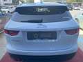 Jaguar F-Pace R-Sport 2,0 Allrad Autom. Exclusiv Panorama Weiß - thumbnail 5
