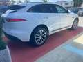 Jaguar F-Pace R-Sport 2,0 Allrad Autom. Exclusiv Panorama Weiß - thumbnail 4