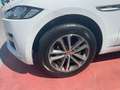 Jaguar F-Pace R-Sport 2,0 Allrad Autom. Exclusiv Panorama Weiß - thumbnail 38