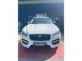 Jaguar F-Pace R-Sport 2,0 Allrad Autom. Exclusiv Panorama Weiß - thumbnail 2
